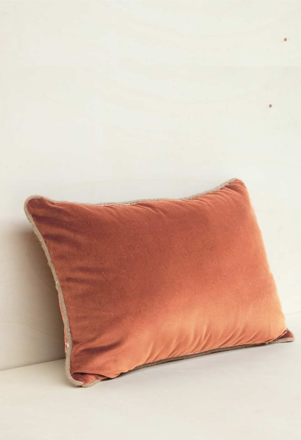 COUSSIN ANTIGUA  ARGILE