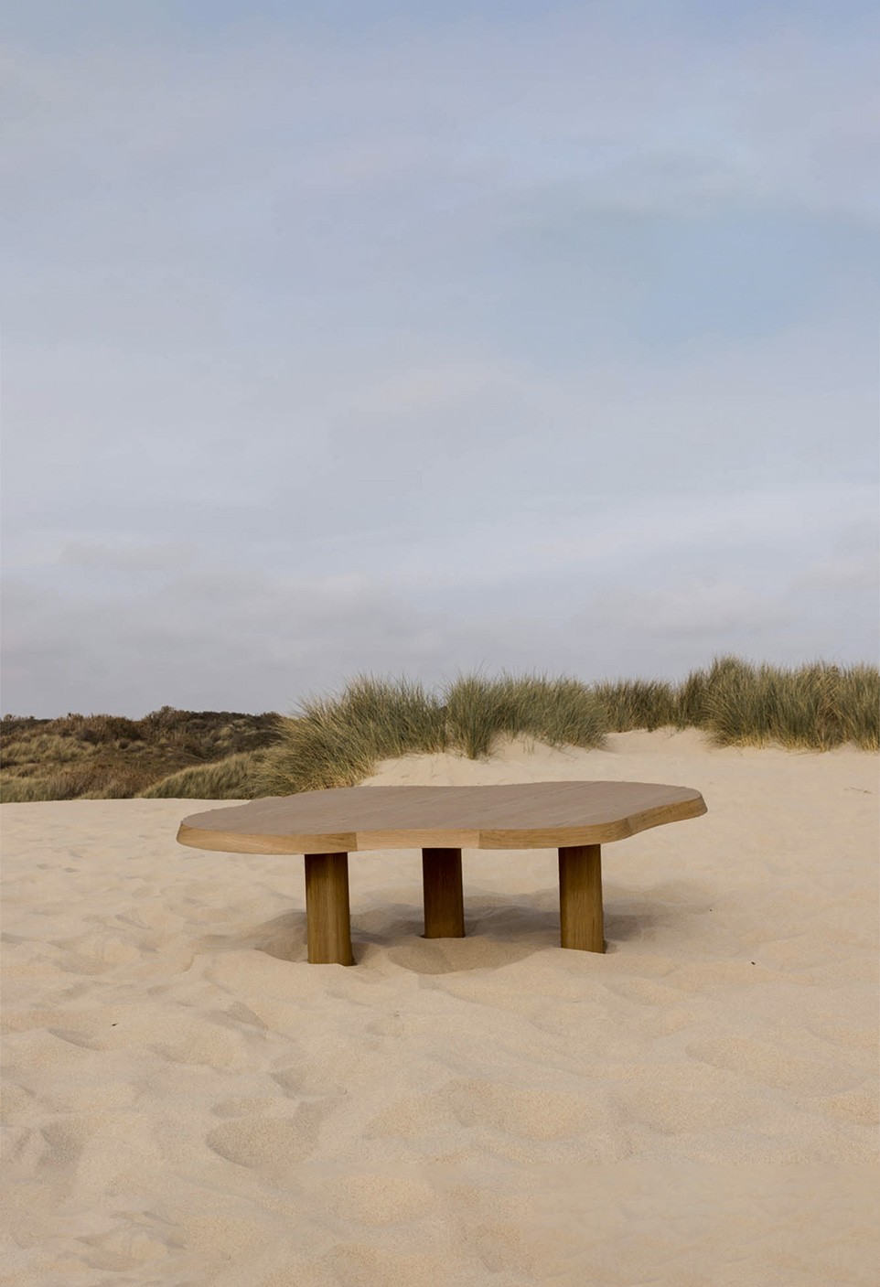 JEANNE THE COFFEE TABLE  IROKO